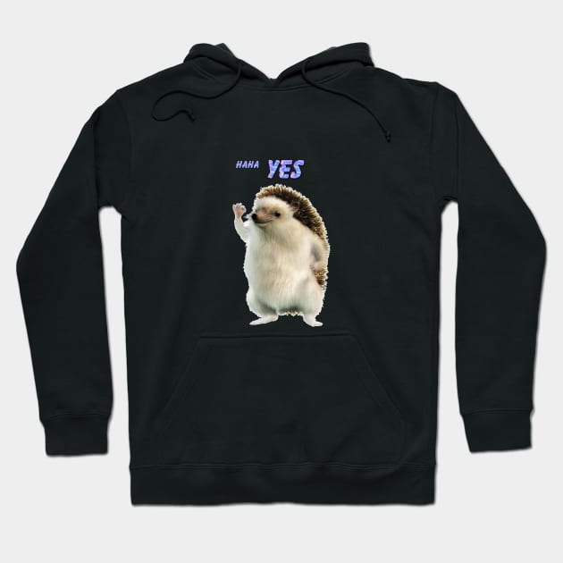 haha yes hedgehog but better Hoodie by KatiaMart